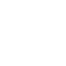 Limb Reconstruction
